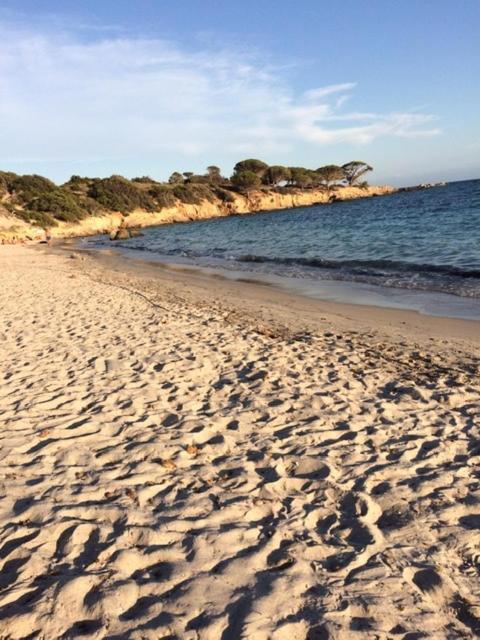 Guest house Les Grimaldines - Maison D'Hotes Cagnes-sur-Mer
