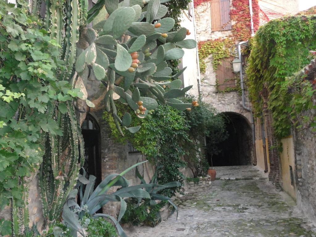 Les Grimaldines - Maison D'Hotes Guest house 2*